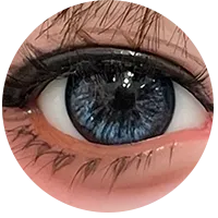 17.webp